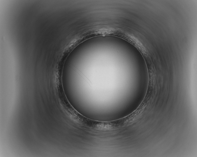 X0000116670354200912211608