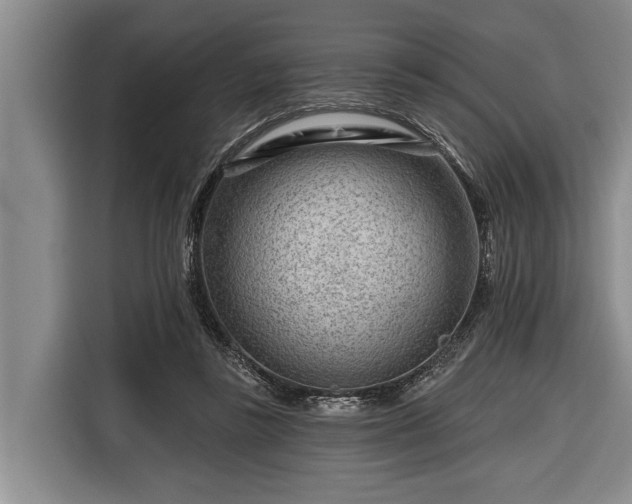 X0000116670355200912211608