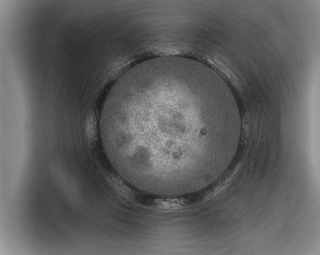 X0000116670359200912211608