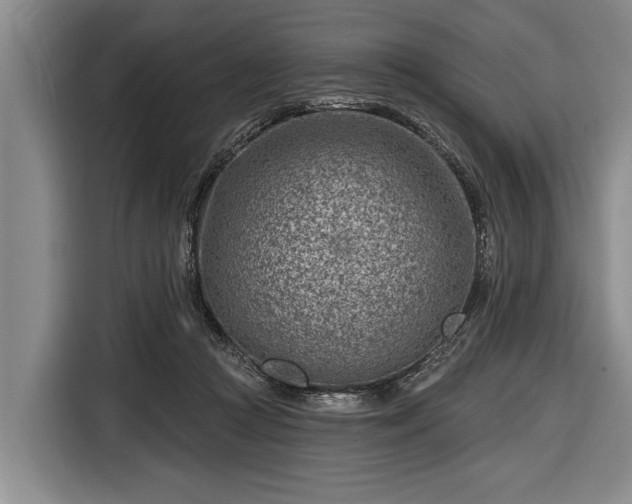 X0000116670361200912211608