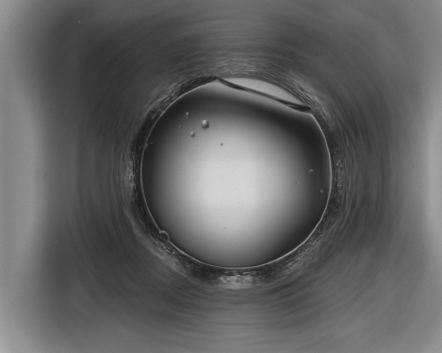 X0000116670362200912211608