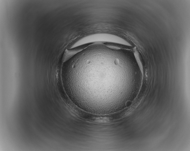 X0000116670363200912211608