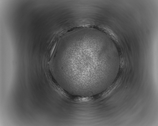 X0000116670365200912211608