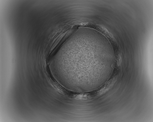 X0000116670366200912211608