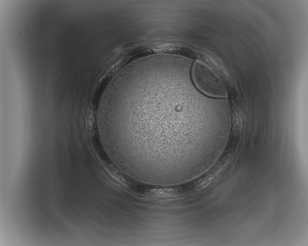 X0000116670367200912211608