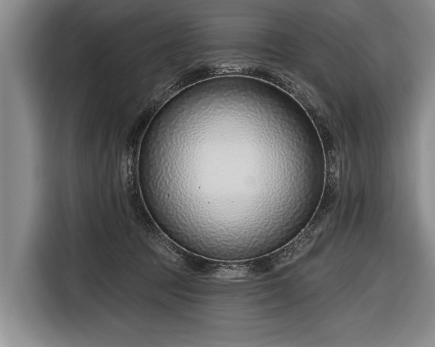 X0000116670369200912211608