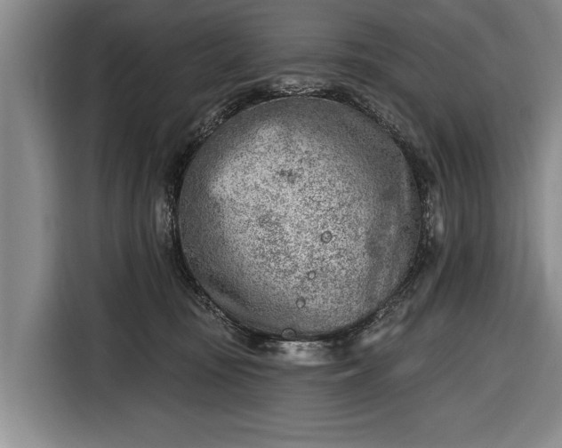 X0000116670371200912211608