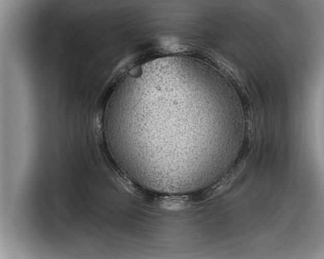 X0000116670373200912211608