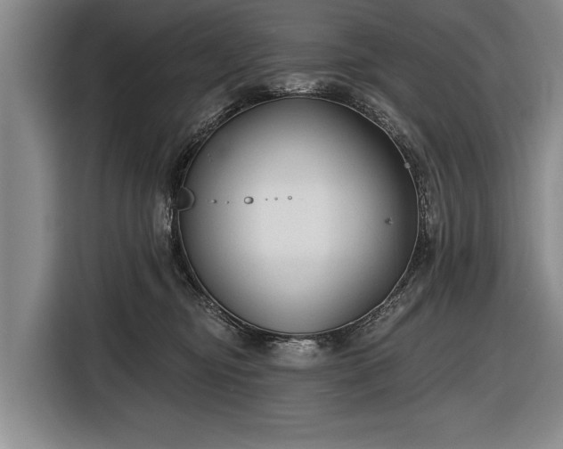 X0000116670374200912211608