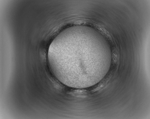 X0000116670375200912211608