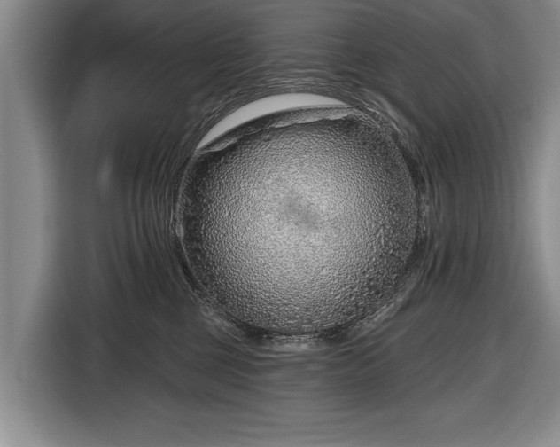 X0000116670377200912211608