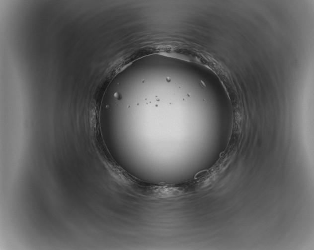 X0000116670379200912211608