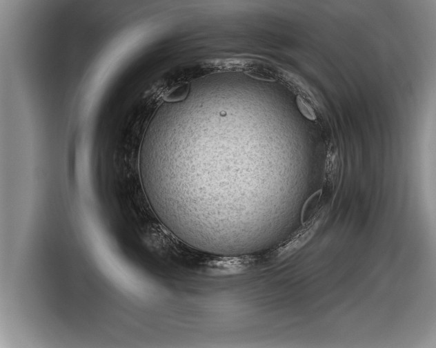 X0000116670381200912211608