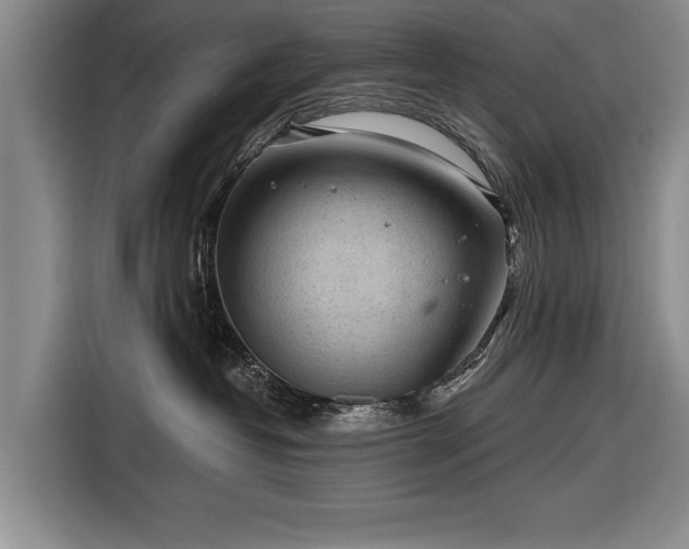 X0000116670382200912211608