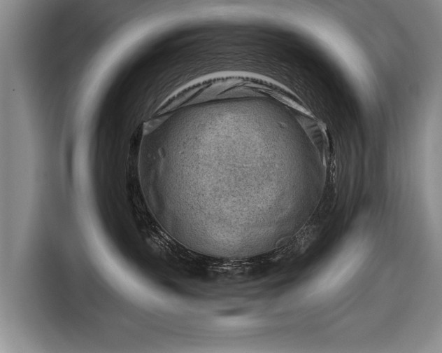 X0000116670383200912211608