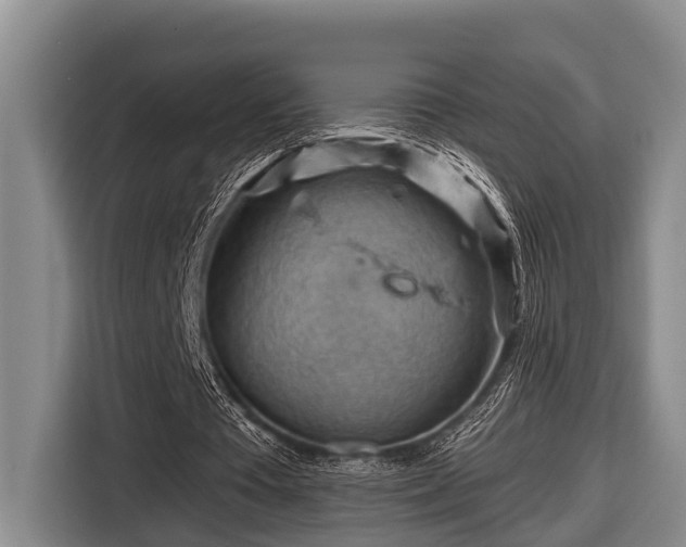 X0000116670385200912211608