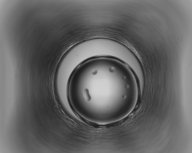 X0000116670386200912211608