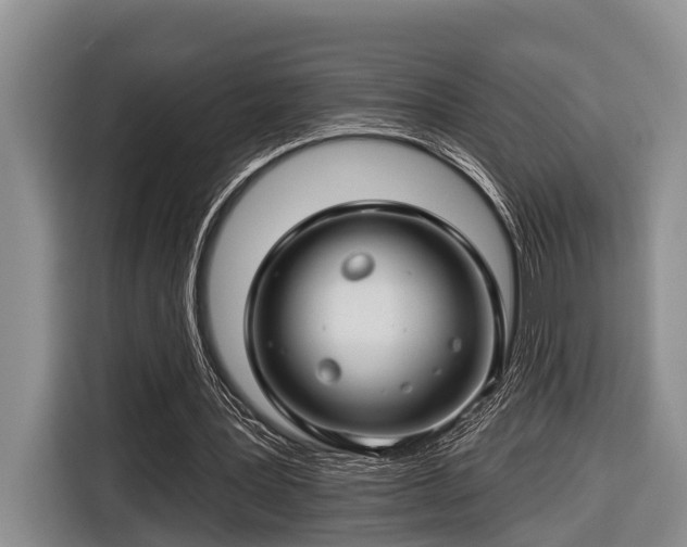 X0000116670387200912211608