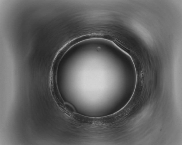 X0000116670388200912211608