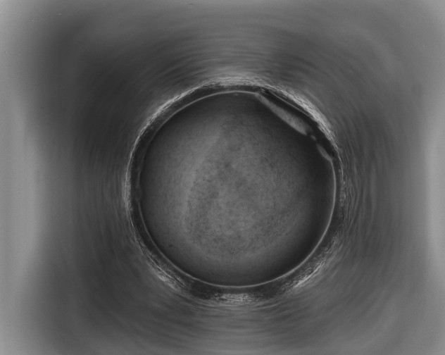 X0000116670391200912211608