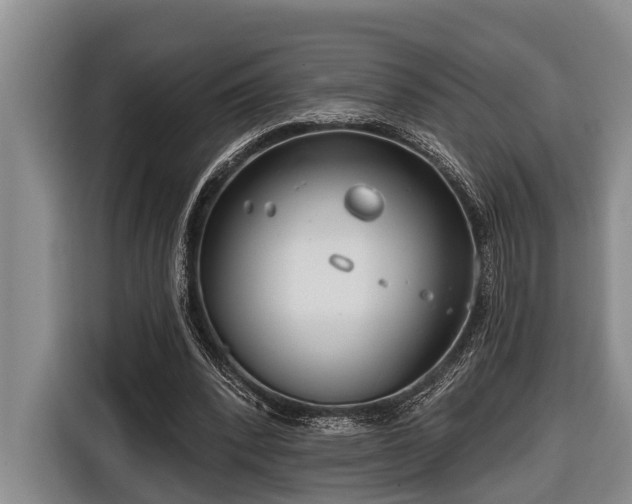 X0000116670392200912211608