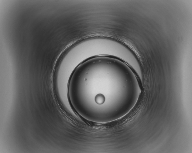 X0000116670395200912211608