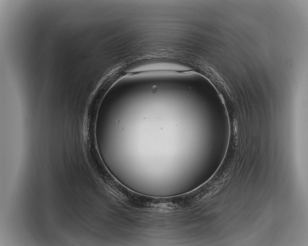 X0000116670396200912211608