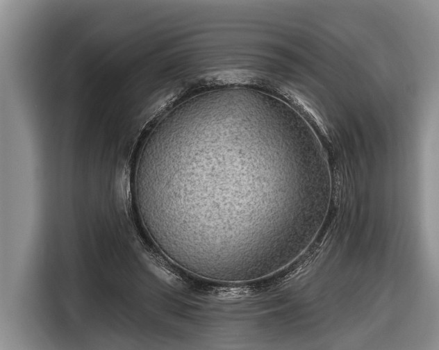 X0000116670398200912211608