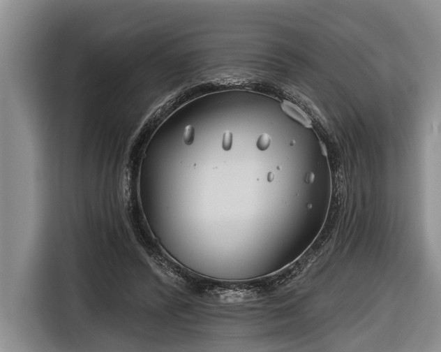 X0000116670400200912211608