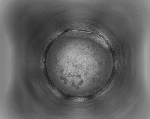 X0000116670402200912211608