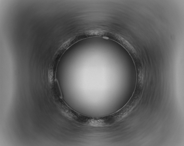 X0000116670403200912211607