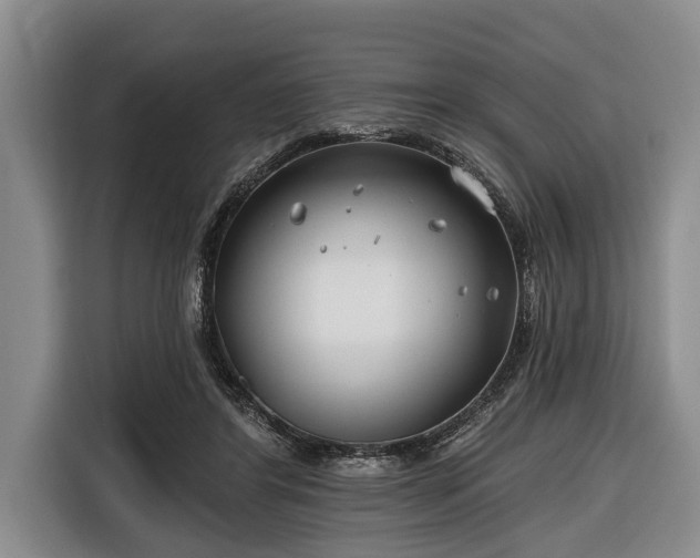 X0000116670404200912211607