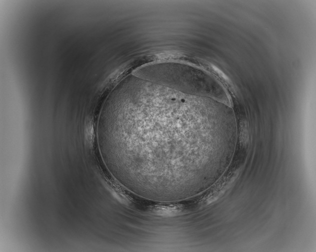 X0000116670405200912211607