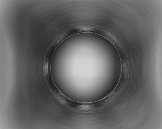 X0000116670406200912211607