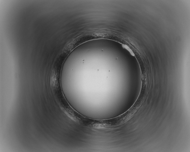 X0000116670408200912211607