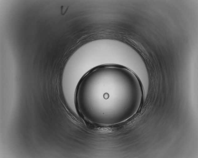 X0000116670409200912211607