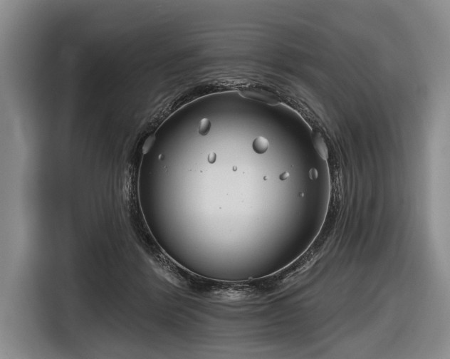 X0000116670412200912211607