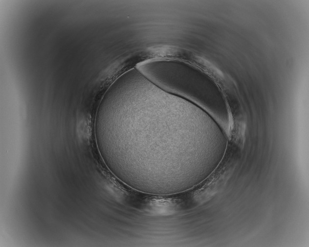 X0000116670413200912211607