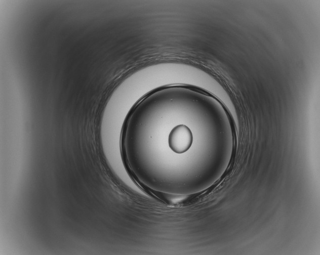 X0000116670415200912211607