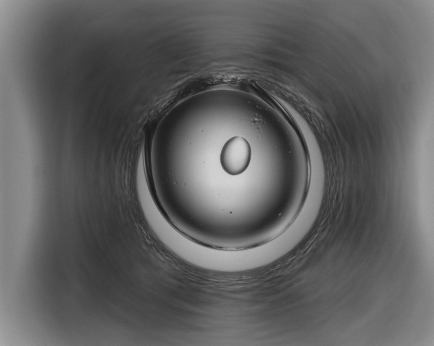 X0000116670417200912211607