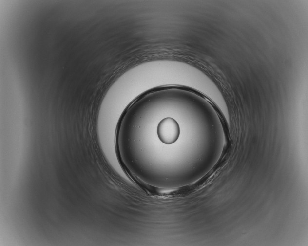 X0000116670419200912211607