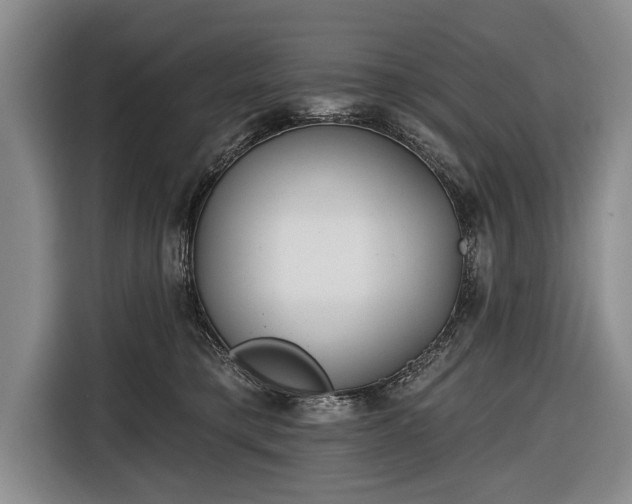 X0000116670421200912211607