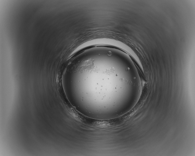 X0000116670424200912211607