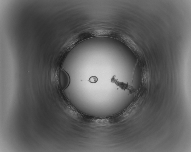 X0000116670426200912211607