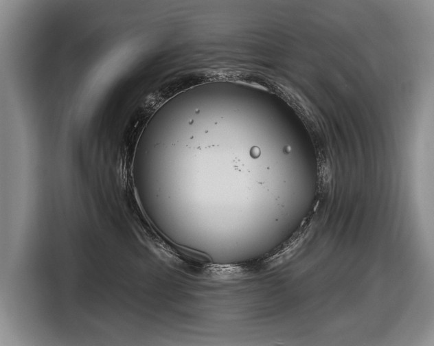 X0000116670429200912211607