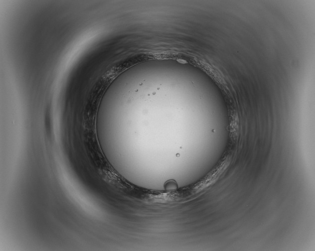 X0000116670430200912211607