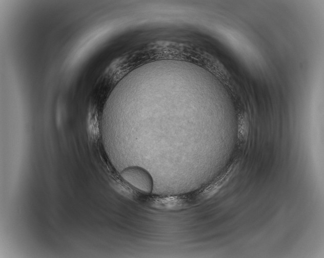 X0000116670431200912211607