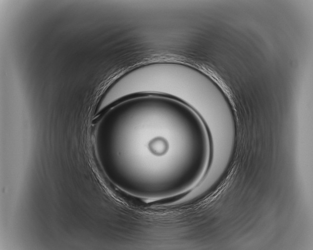 X0000116670433200912211607