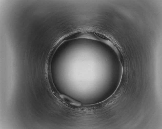 X0000116670434200912211607