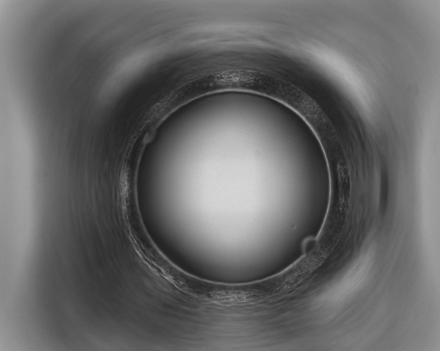 X0000116670435200912211607